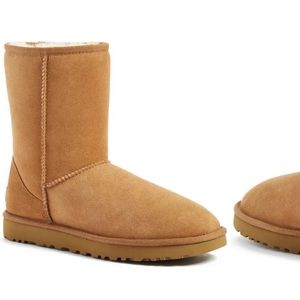 Chestnut suede uggs